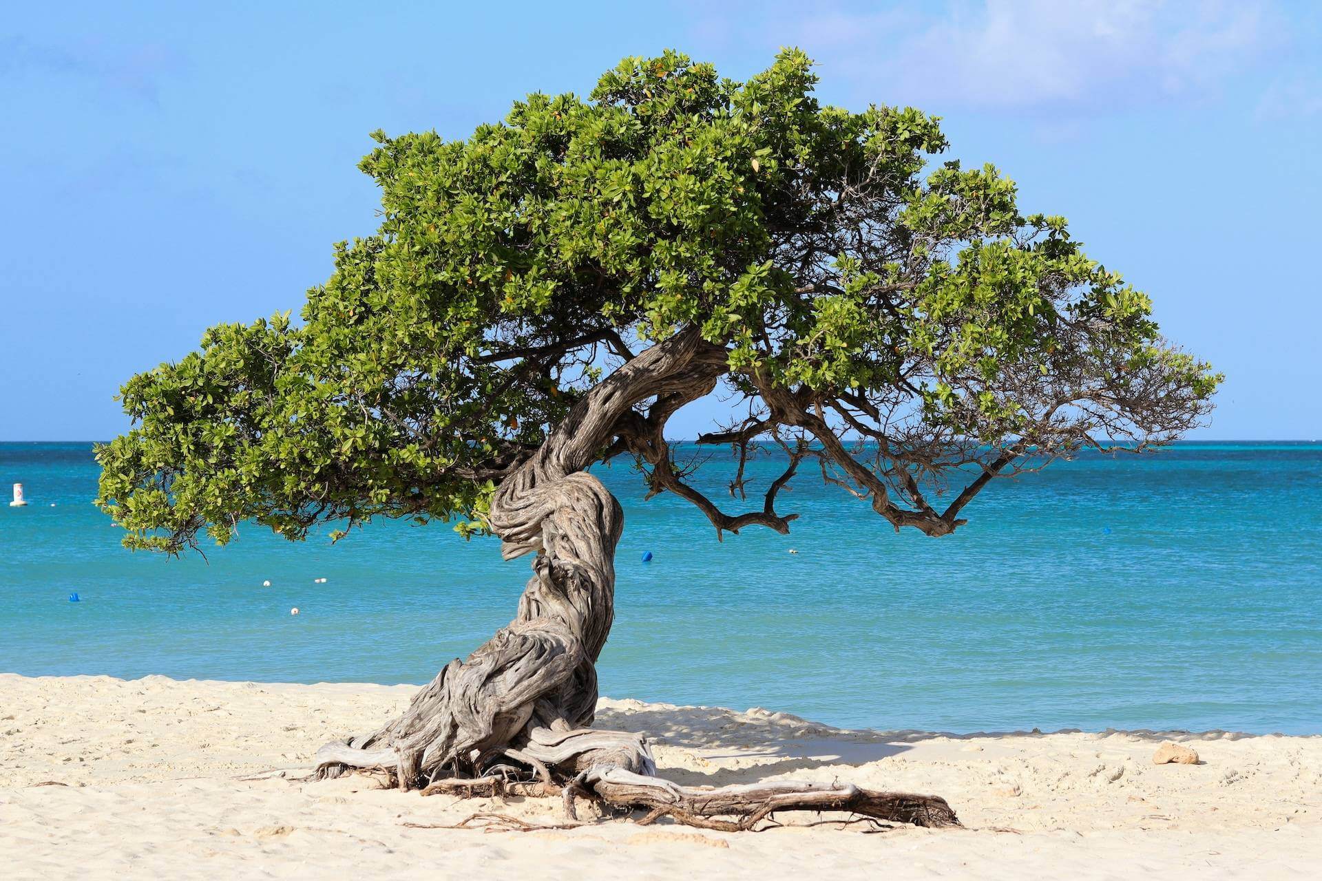 Eagle Beach